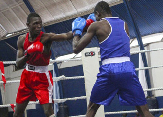 Torneio de Boxe