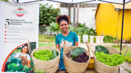 Feira vegana em Luanda - Rede Girassol