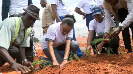 Plantação de árvores em Luanda - Rede Girassol