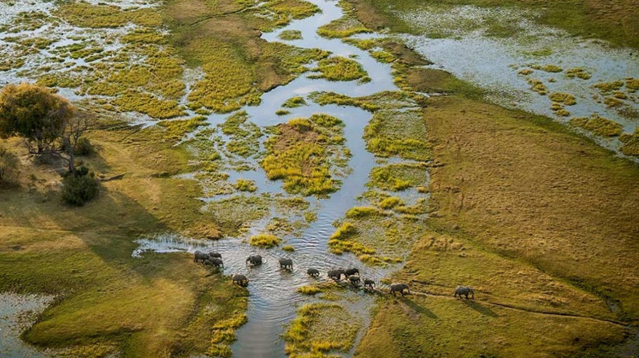 Angola reúne potenciais investidores para o Okavango