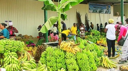 Feira da Banana abre hoje no Mercado do Panguila - TPA