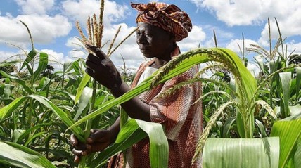 Malawi vai receber apoio do Fundo Verde para o Clima  - DR