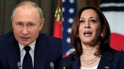 Vladimir Putin declara apoio a candidatura de Kamala Harris - DR