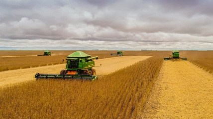 Namíbia recebe 1000 toneladas de arroz em ajuda humanitária da Índia    - DR