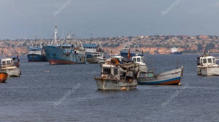 Barcos de pesca - DR