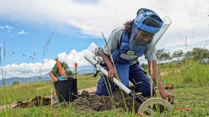 Desminagem em Angola - DR