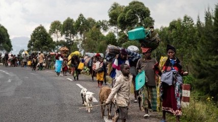 Mais de 940 mil pessoas forçadas a fugir da violência na RDC - DR