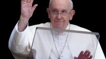 Papa Francisco pede perdão e manifesta vergonha por 