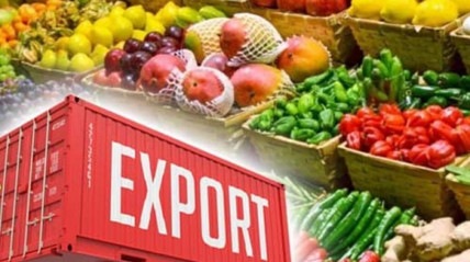 África do Sul procura fortalecer exportações agrícolas para países do BRICS - DR