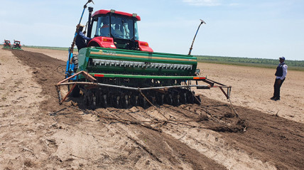 Produção agrícola - Edições Novembro