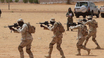 Forças armadas do Tchad eliminam 117 terroristas - DR