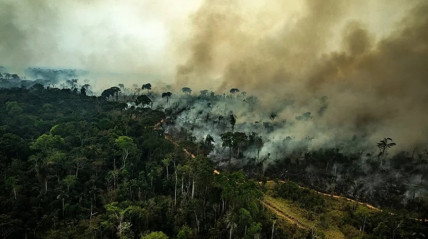 Relatório 2024 da ONU Apela a acção climática urgente em prol de Africa - DR